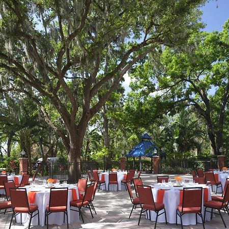 Hilton Garden Inn Tampa East Brandon Mango Kültér fotó