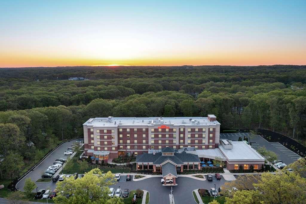 Hilton Garden Inn Tampa East Brandon Mango Kültér fotó