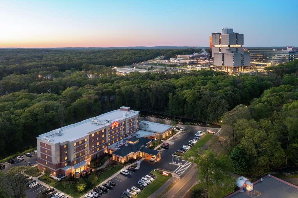 Hilton Garden Inn Tampa East Brandon Mango Kültér fotó